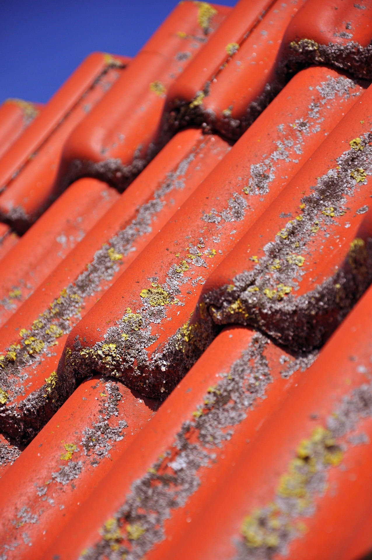 damaged roof tiles